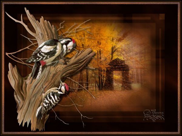 Tutoriel "Le bois aux oiseaux"
